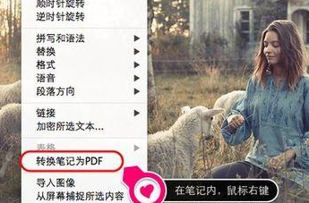 印象笔记怎么导出pdf