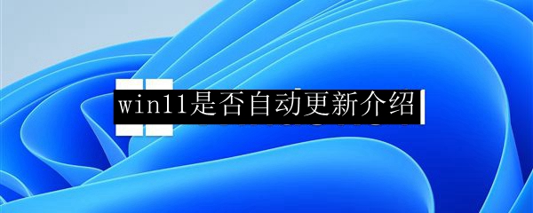 win11是否自动更新介绍