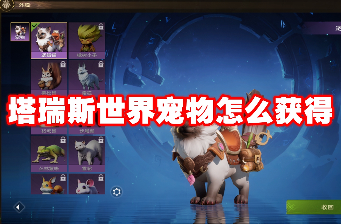 塔瑞斯世界宠物怎么获得