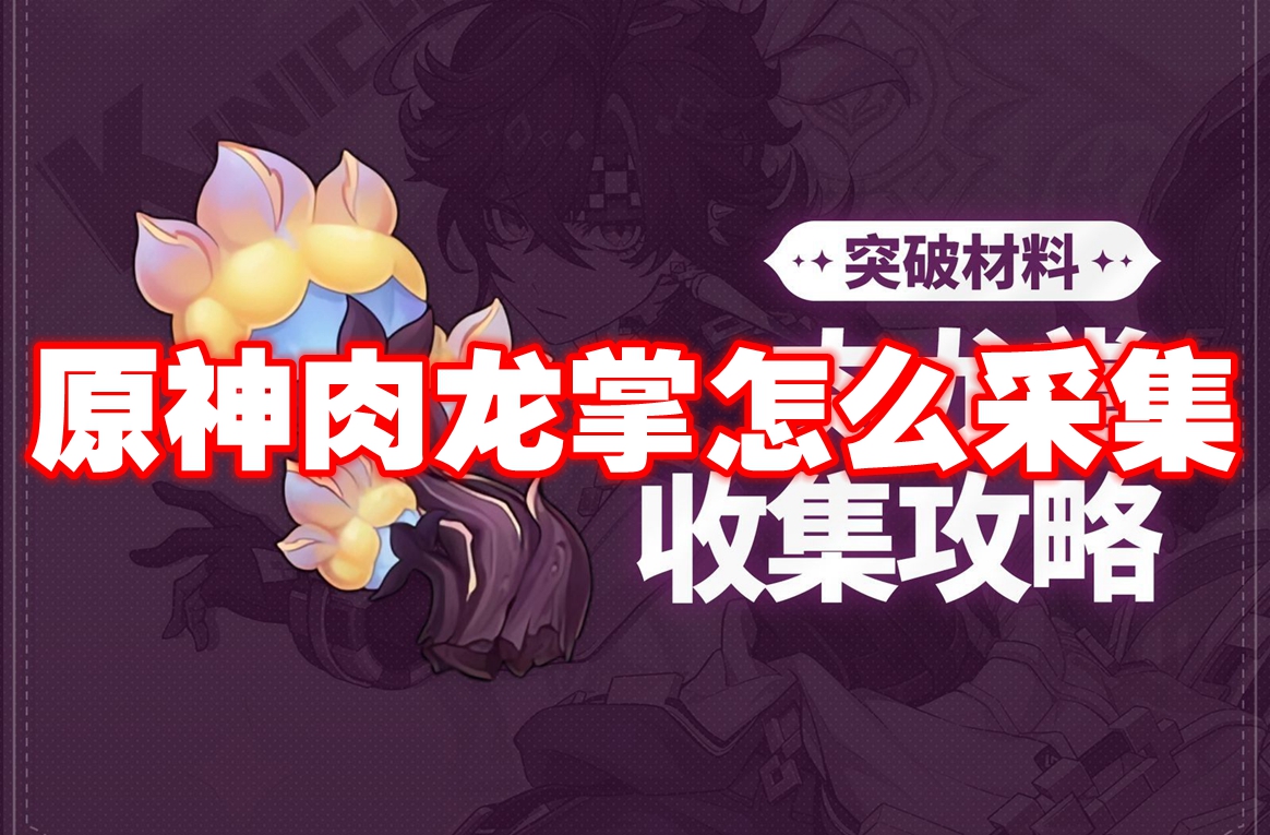 原神肉龙掌怎么采集