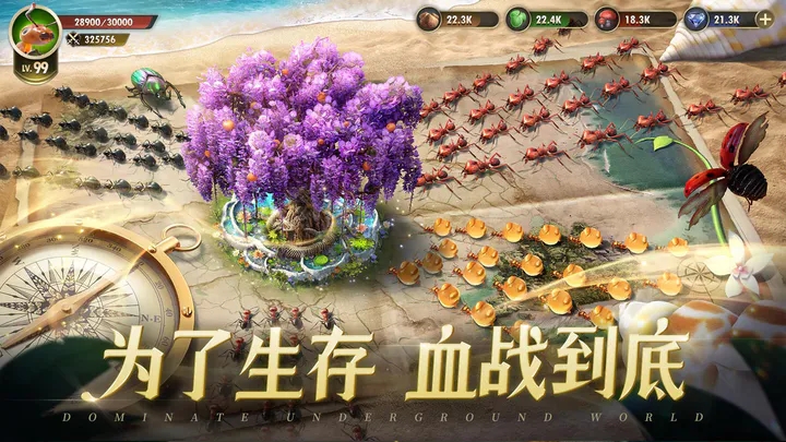 小小蚁国内置菜单版