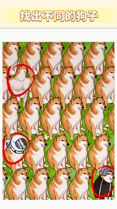 一起来找不同吧