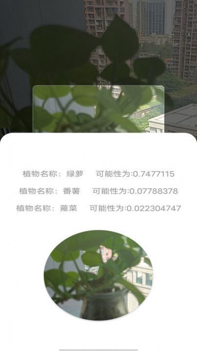 拍照识别植物弛意版