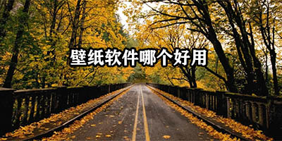 壁纸软件哪个好用