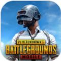 pubg mobile亚服