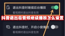 抖音退出后音频继续播放怎么设置