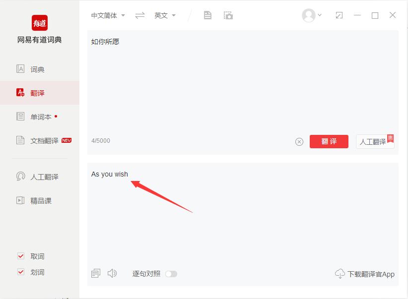 有道词典在线翻译v11.0.0.0