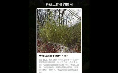 支付宝福寿保护地巡护答案是什么