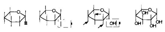 ChemDraw怎么绘制透视图形