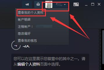 steam怎么查看id