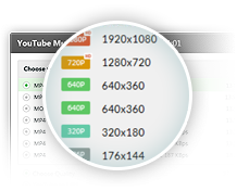 Gihosoft TubeGetV9.0.88.0