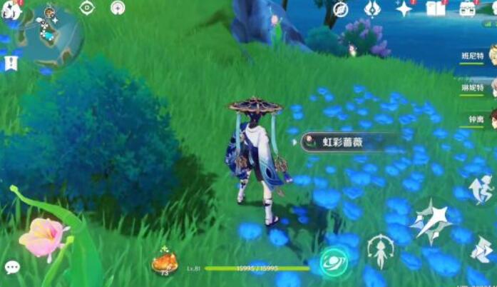 原神林间掇青之章攻略