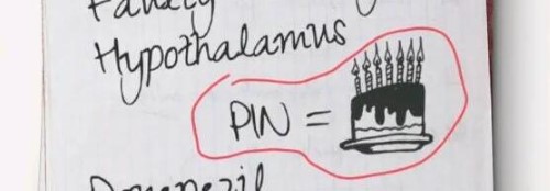 失落记忆第二章攻略