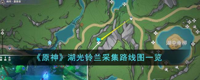 原神湖光铃兰采集路线图一览