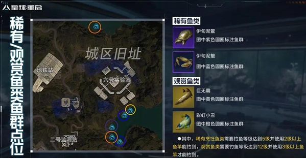 星球重启稀有鱼群点位