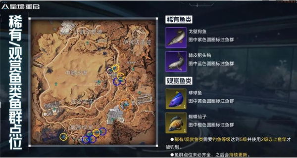 星球重启稀有鱼群点位