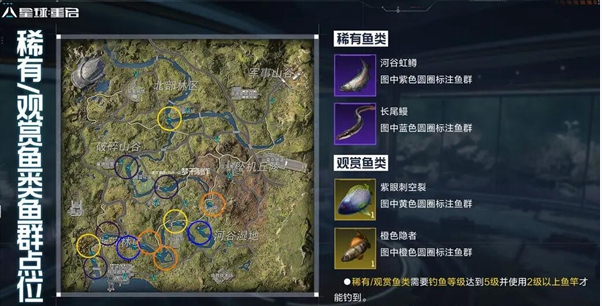 星球重启稀有鱼群点位