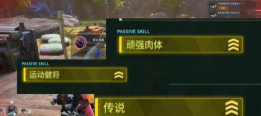 幻兽帕鲁繁育攻略