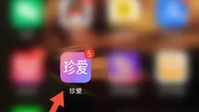 珍爱app在线状态怎么隐藏